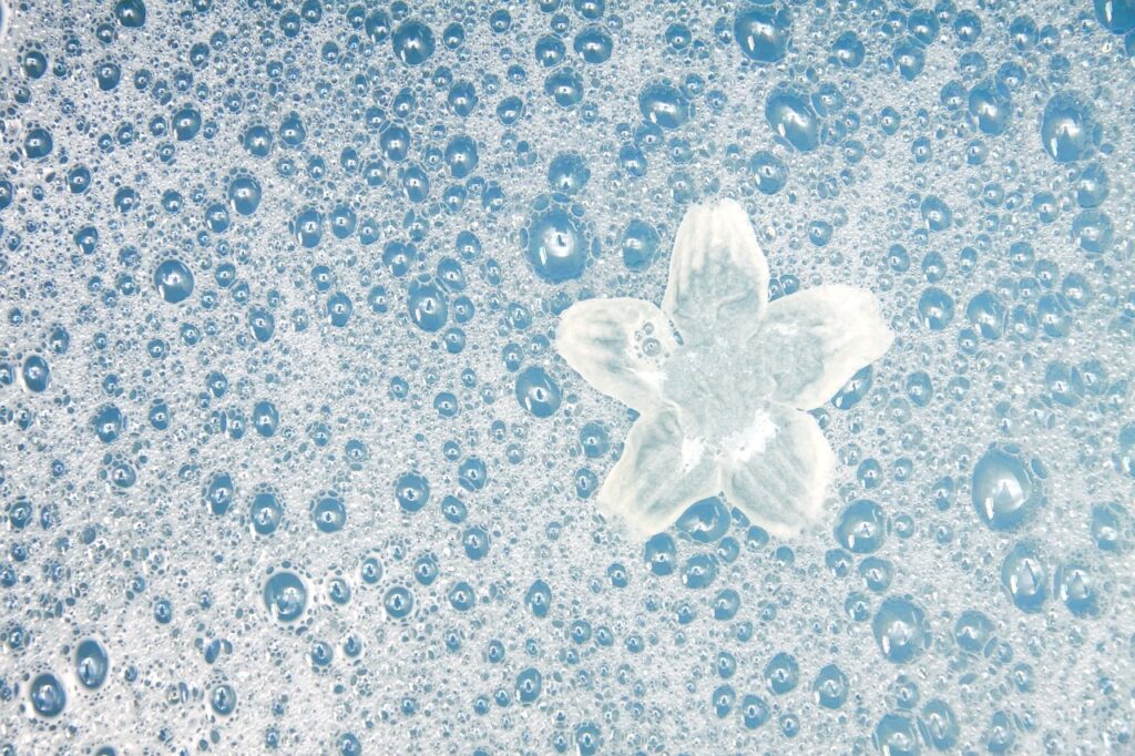 泡の上に浮いた花